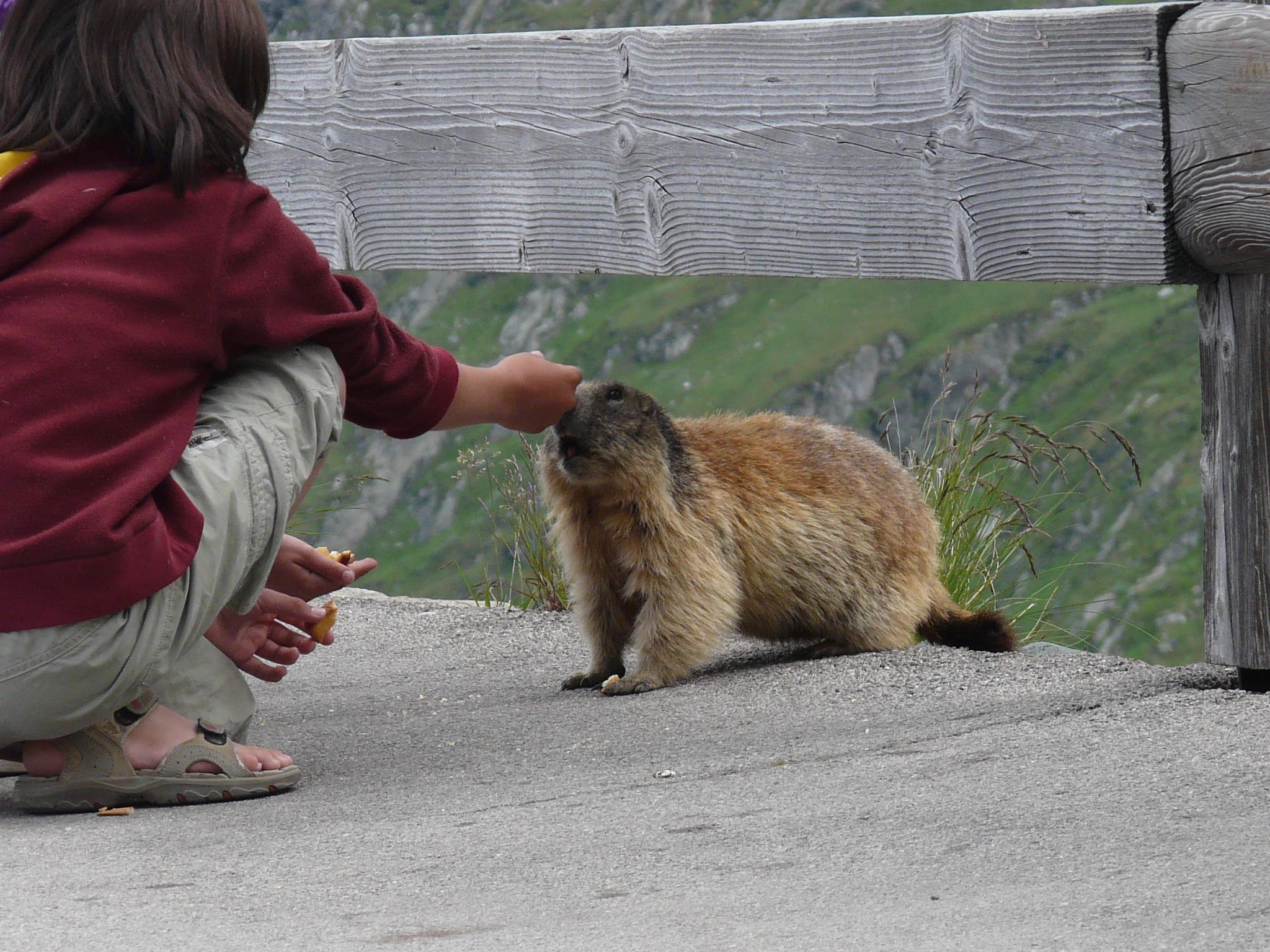 MangoBike Groszglockner biciklis túra