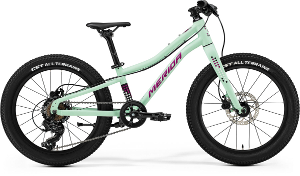 Merida Matts J.20+ 20" Gyerek Kerékpár - Matt Menta (Lila/Fehér/Fekete) - zöld