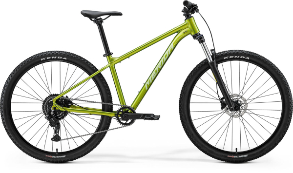 Merida Big Nine 20 29" MTB Kerékpár - Fall Green(Silvergreen) - zöld