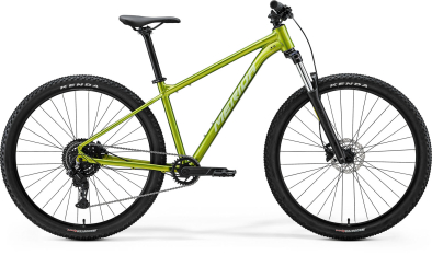 Merida Big Nine 20 29 MTB Kerékpár - Fall Green(Silvergreen) - zöld