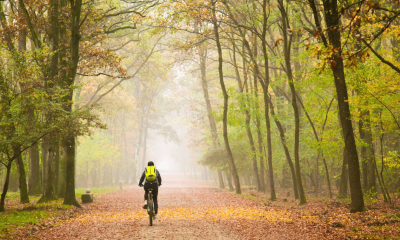 Tudtad? Az őszi, nedves körülmények között lényegesen gyakoribbak a bosszantó defektek!